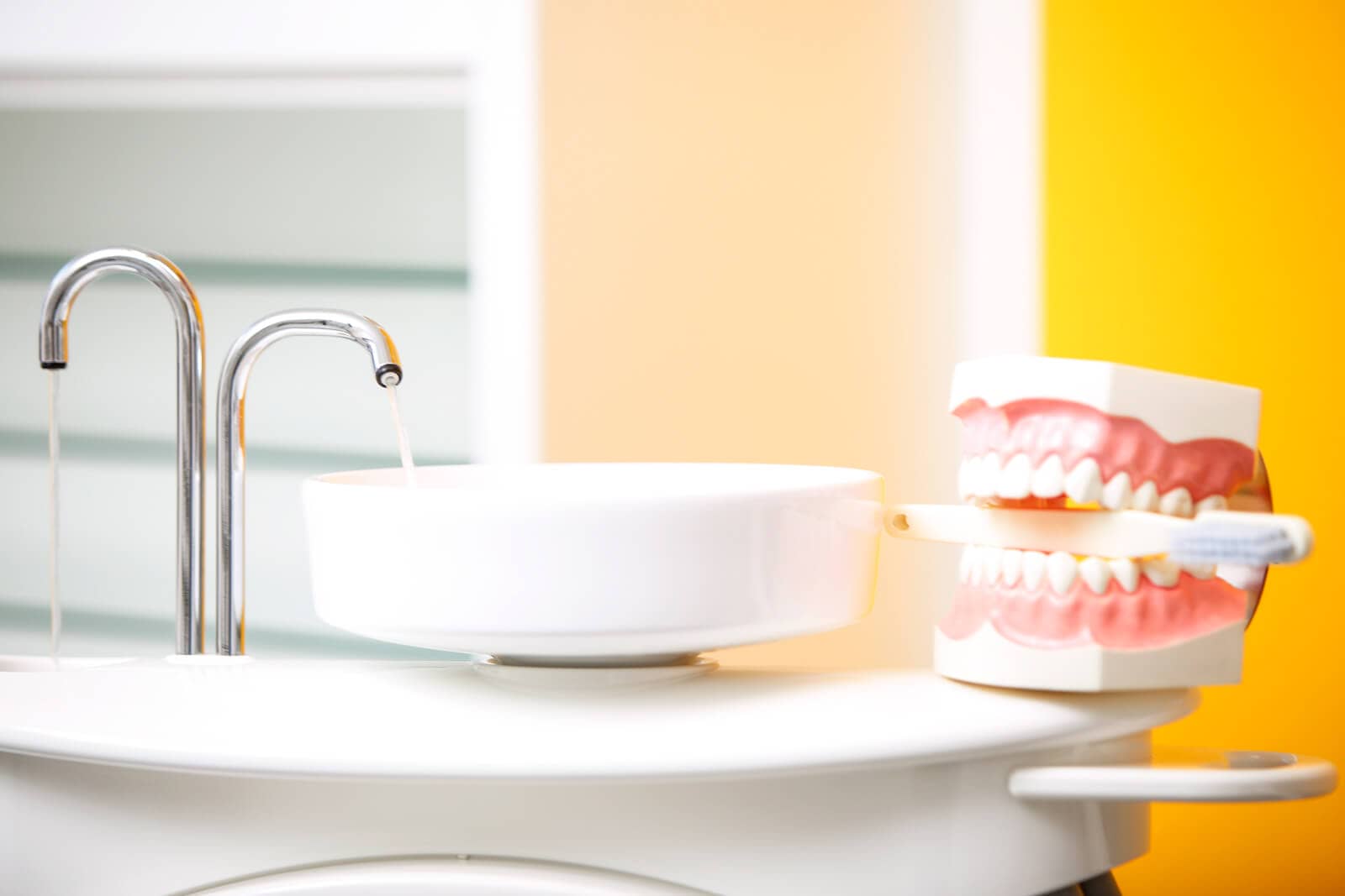 Denture model with toothbrush